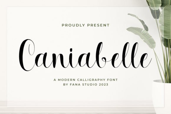 Caniabelle Script: A Font for Modern Web Design