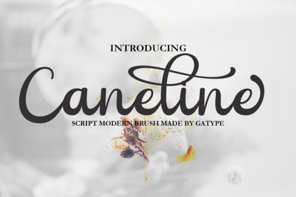 How Caneline Helped My Bakery Look More Elegant and Professional