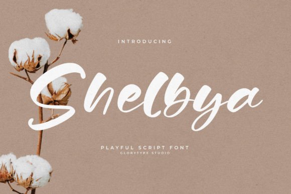 Shelbya: The Font That Elevates Your Brand